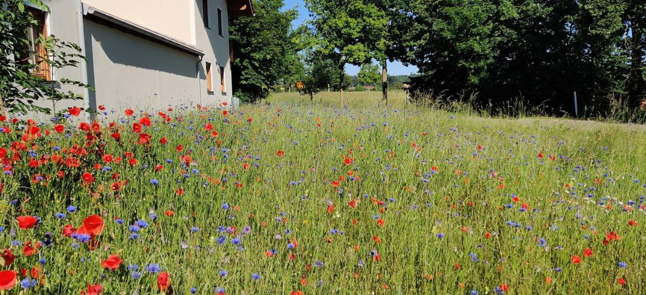 Ferienwohnung Ponlach Tittmoning Buitenkant foto